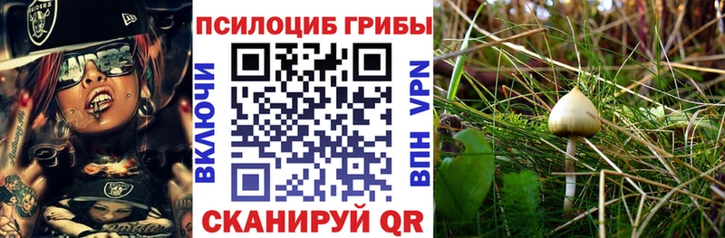 Галлюциногенные грибы мухоморы цены Гудермес